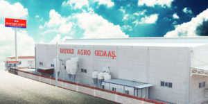 BAYEKS AGRO 1