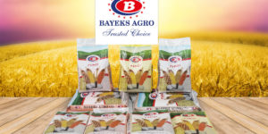 BAYEKS AGRO 10