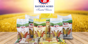 BAYEKS AGRO 6