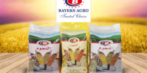 BAYEKS AGRO 7